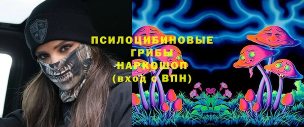Альфа ПВП Богородицк