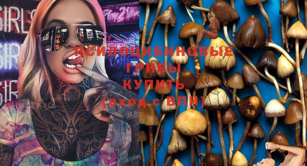 мдма Богданович